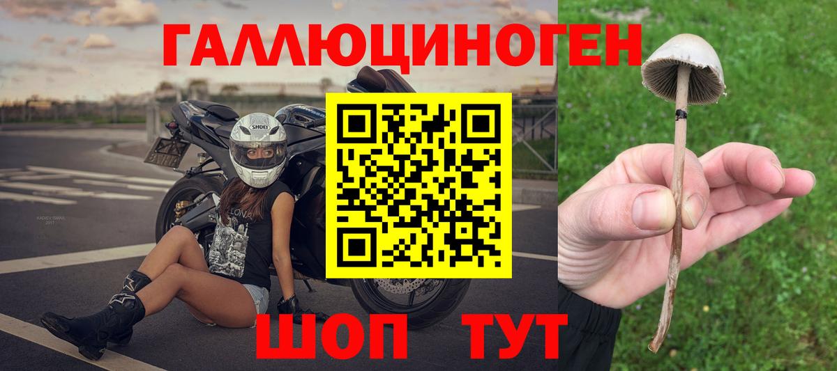 Рассказово  Галлюциногенные грибы ЛСД  цена   Вход с VPN 